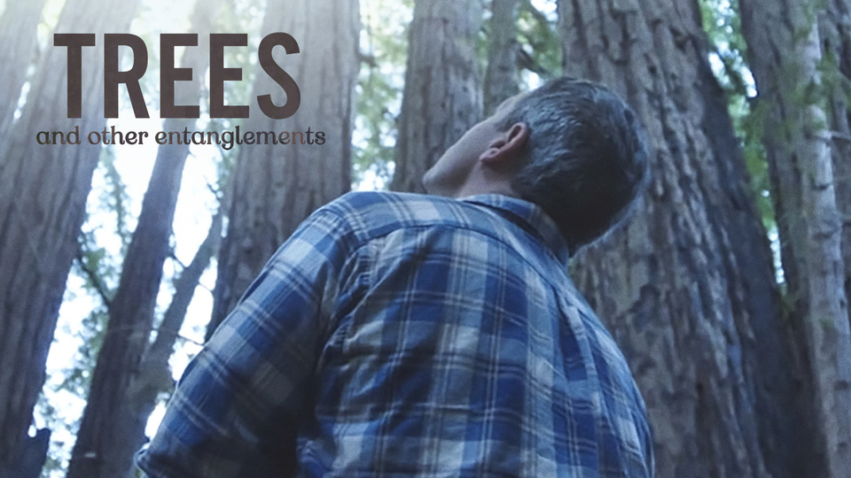 Trees and Other Entanglements - HBO