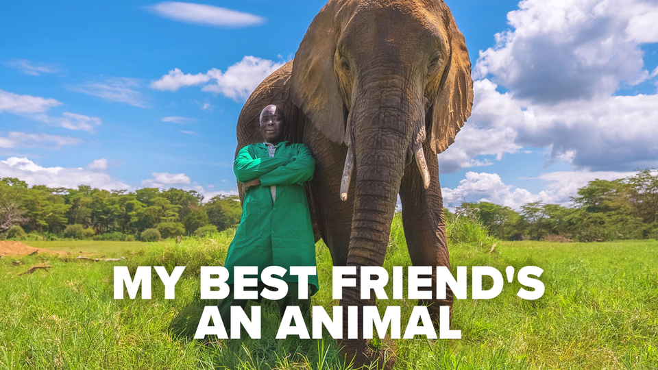 My Best Friend's an Animal - Nat Geo Wild