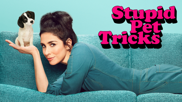 Stupid Pet Tricks key art