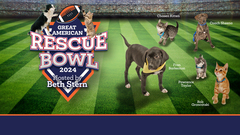 Great American Rescue Bowl