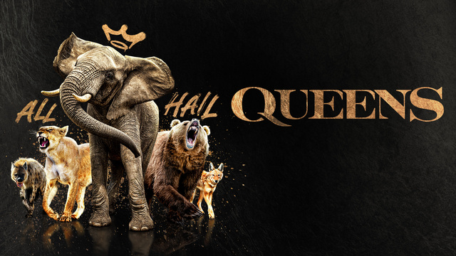 Queens (2024) key art