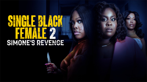 Single Black Female 2: Simone's Revenge