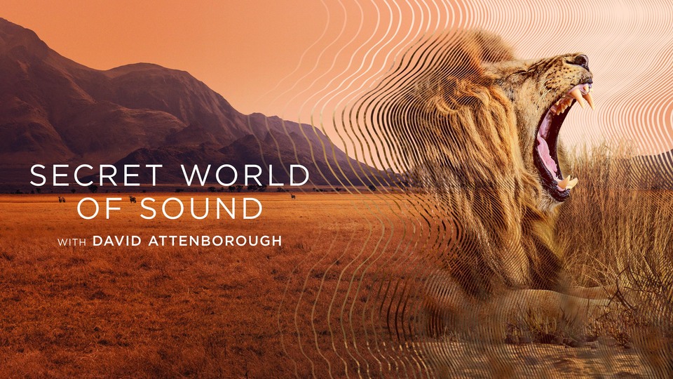 Secret World of Sound with David Attenborough - Netflix