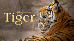 Tiger (2024)