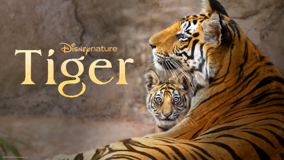 Tiger (2024) - Disney+