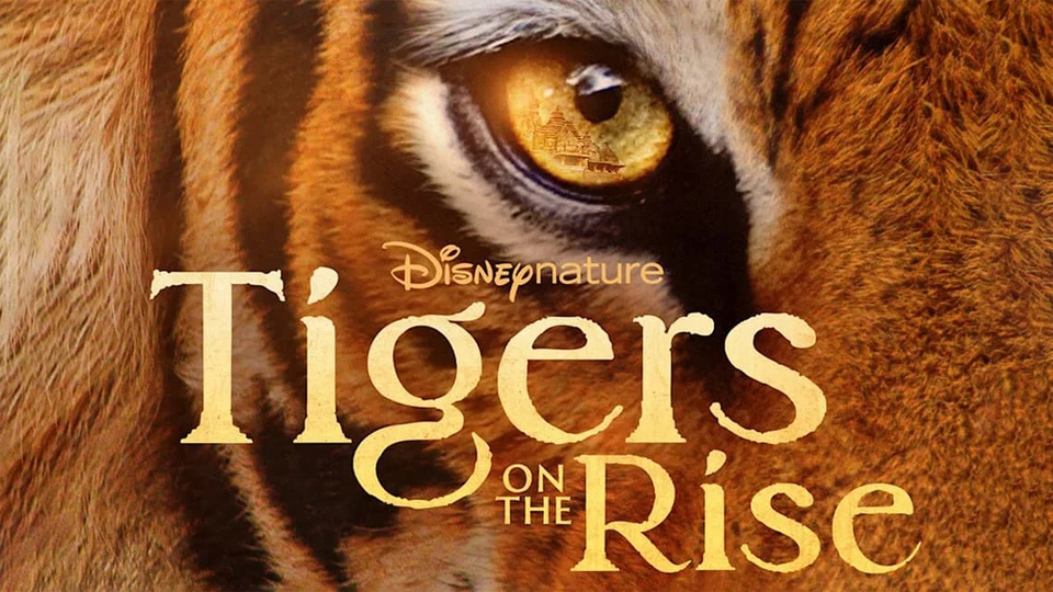 Tigers on the Rise - Disney+
