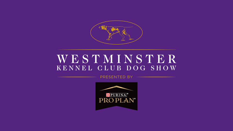Westminster Kennel Club Dog Show - Fox Sports 1