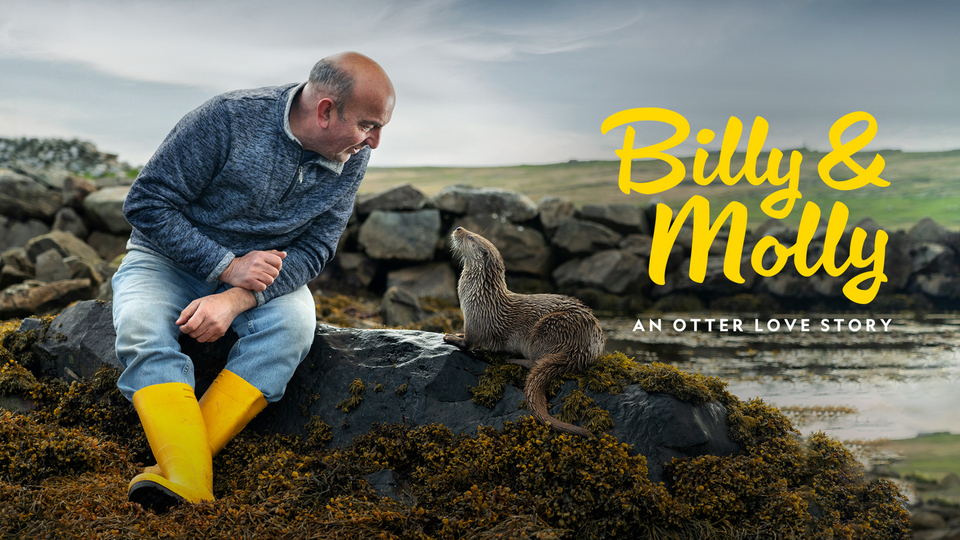 Billy & Molly: An Otter Love Story - Nat Geo