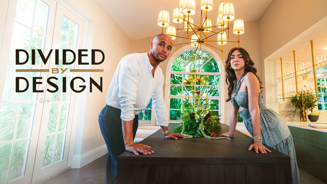 Divided By Design key art