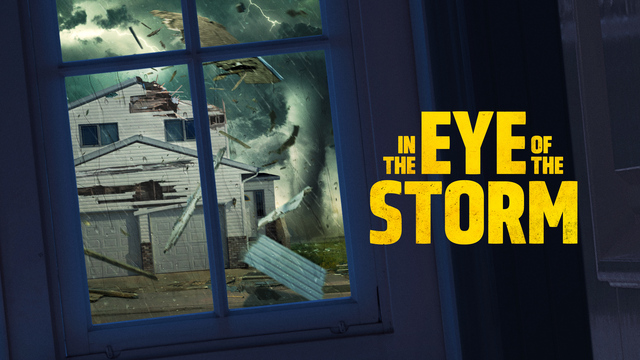 In the Eye of the Storm key art