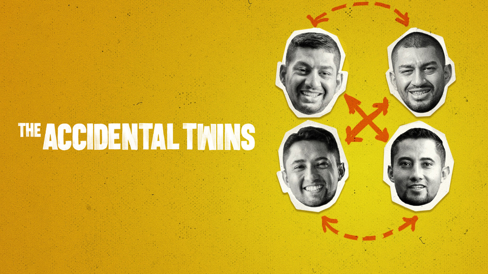 The Accidental Twins - Netflix