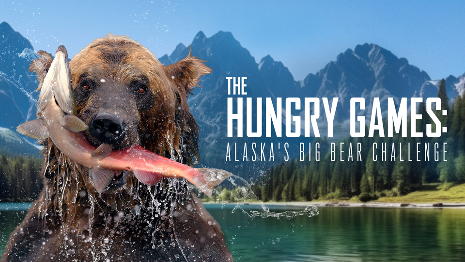 The Hungry Games: Alaska's Big Bear Challenge - Peacock