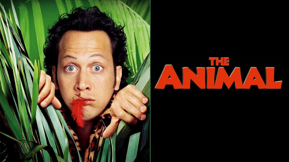 The Animal - 