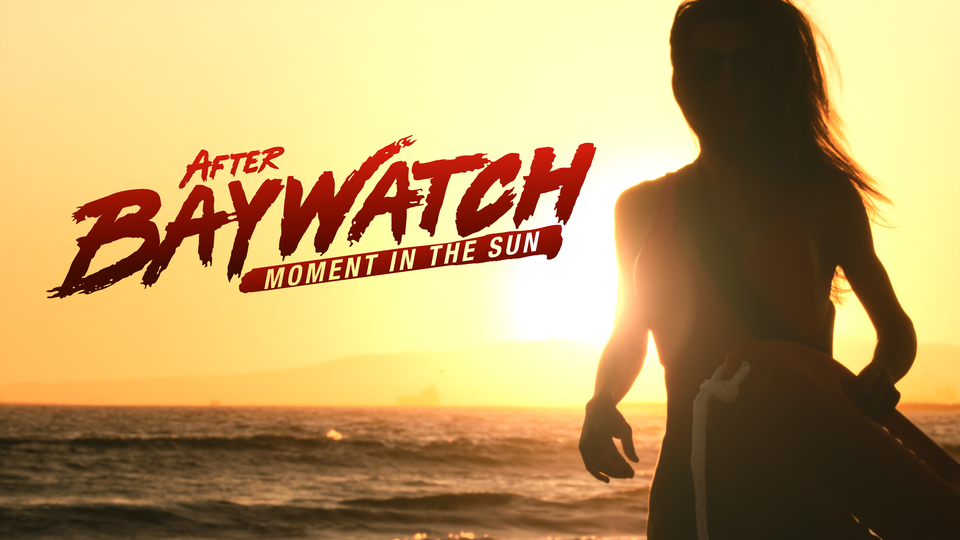 After Baywatch: Moment in the Sun - ABC