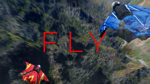 Fly