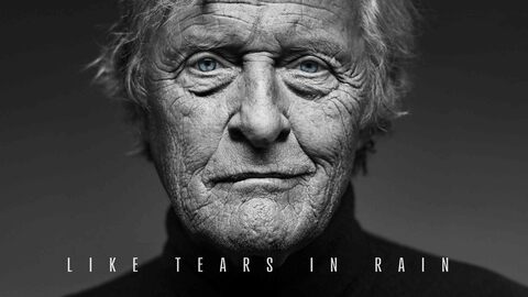 Like Tears in Rain