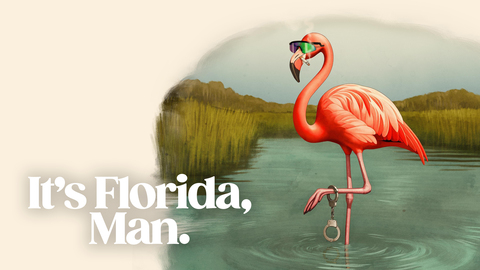 It's Florida, Man