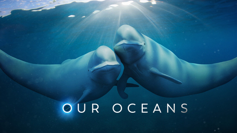 Our Oceans