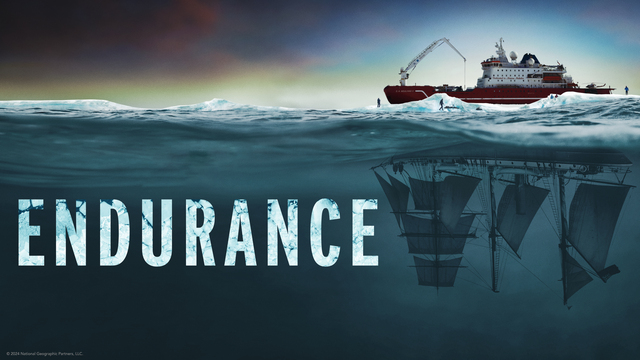 Endurance key art