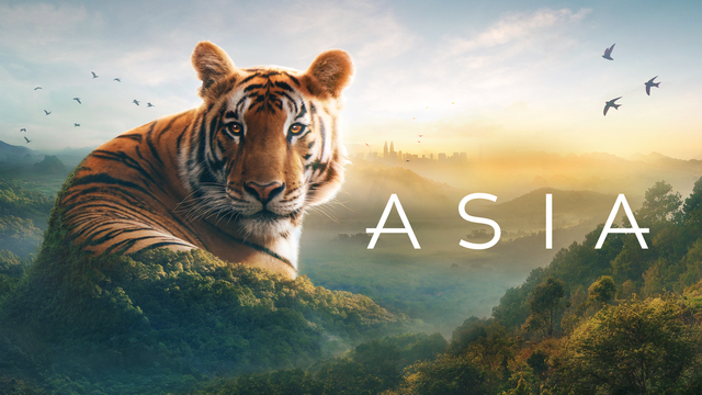 Planet Earth: Asia key art
