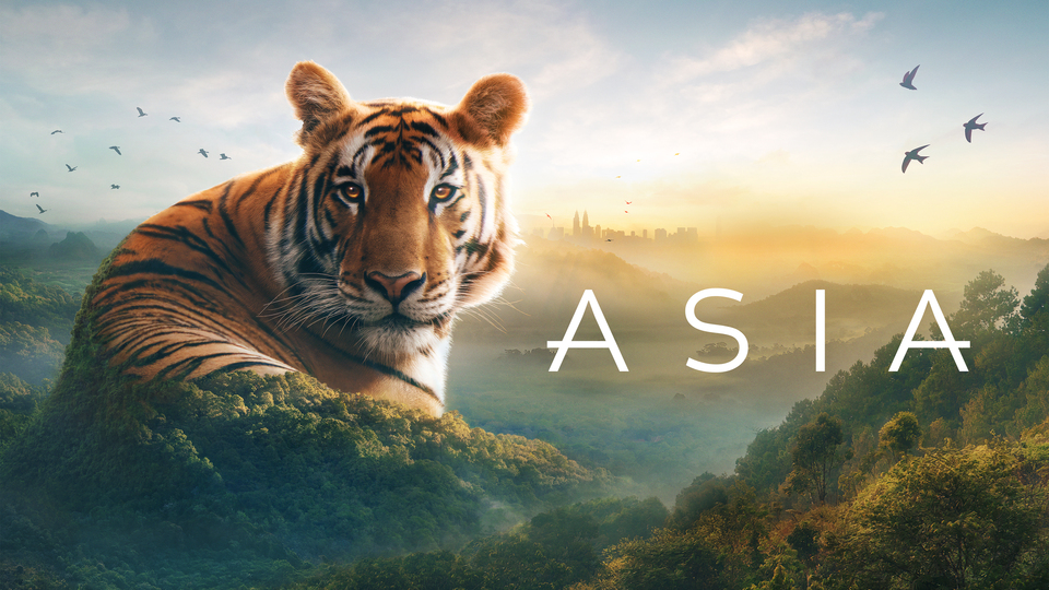 Planet Earth: Asia - BBC America