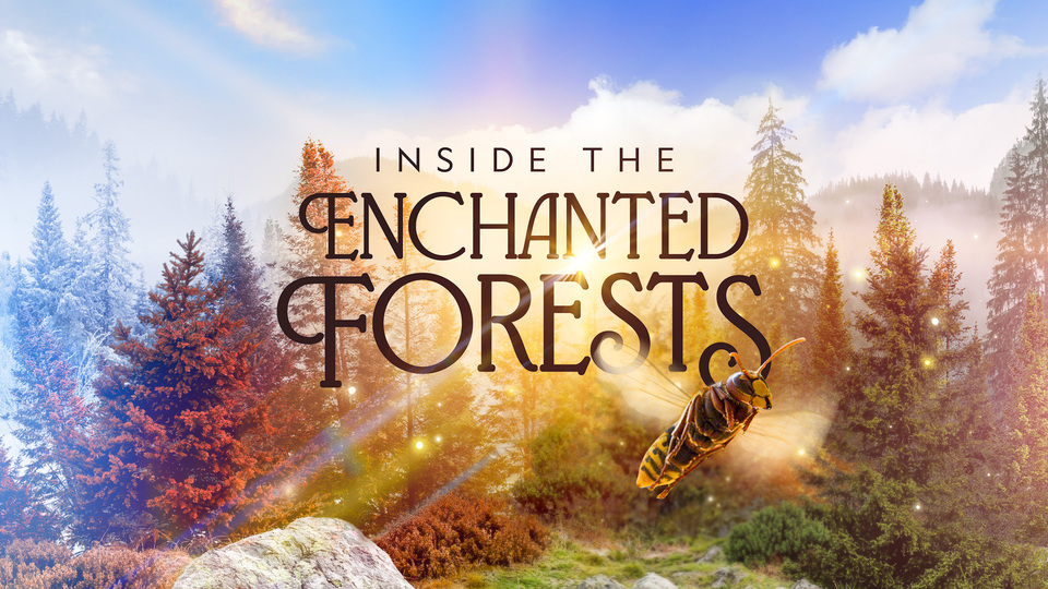 Inside the Enchanted Forests - Nat Geo Wild