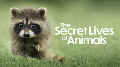 The Secret Lives of Animals