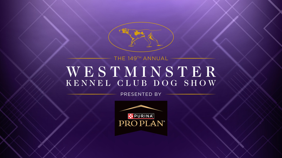 Westminster Kennel Club Dog Show - Fox Sports 1