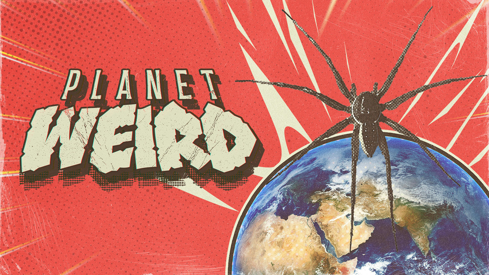 Planet Weird - Nat Geo Wild