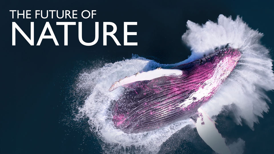 The Future of Nature - PBS