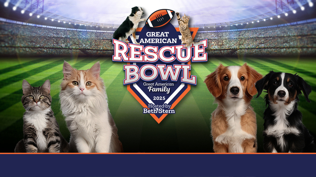 Great American Rescue Bowl key art
