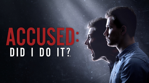Accused: Did I Do It?
