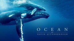 Ocean with David Attenborough
