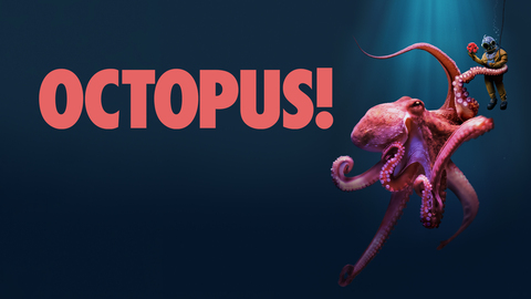 Octopus!