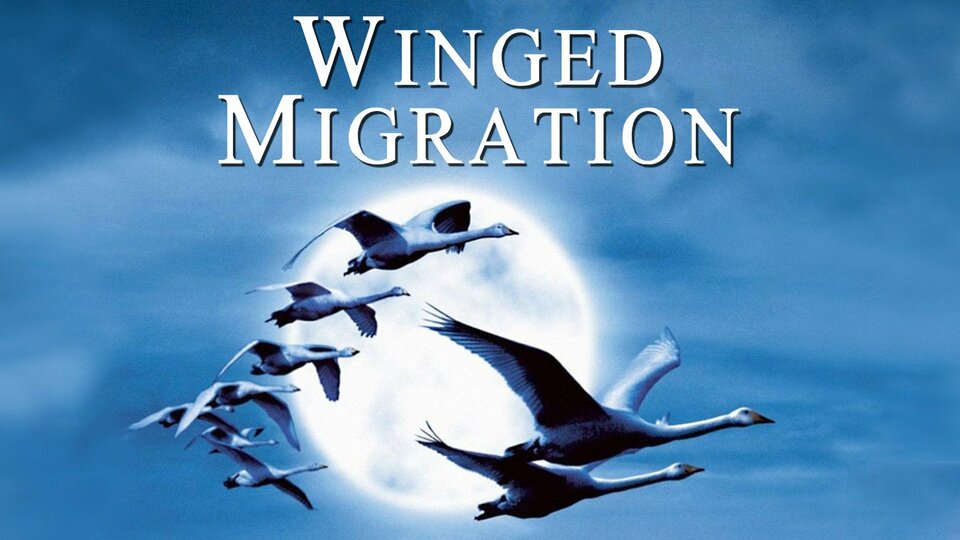 Winged Migration - 