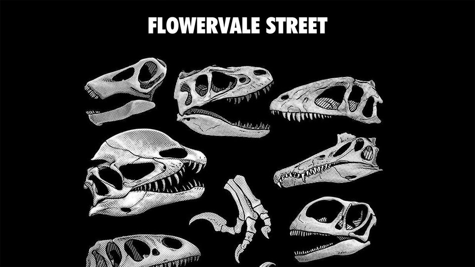 Flowervale Street -