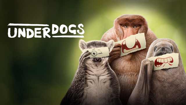 Underdogs key art