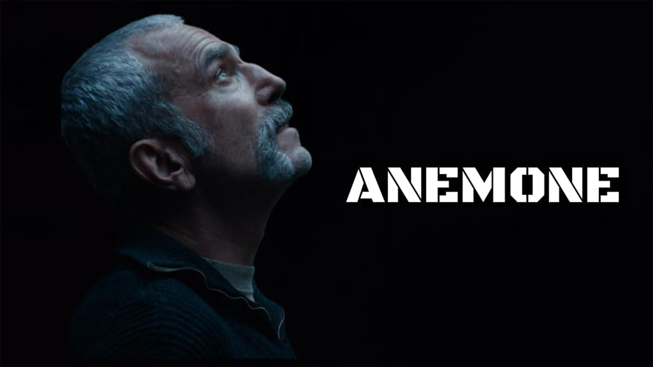 Anemone