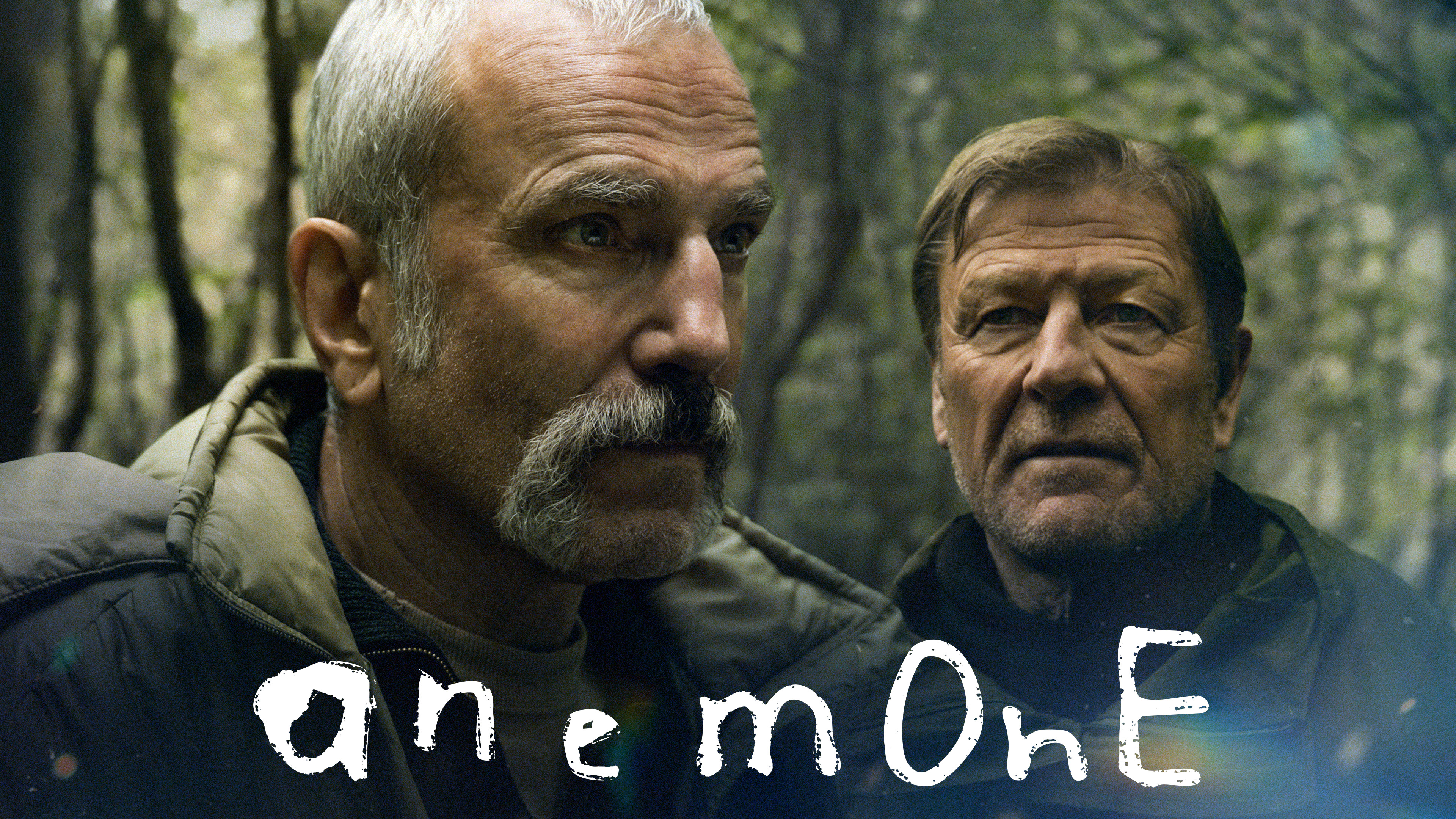 TVドラマ anemone Anemone - VOD/Rent Movie - Where To Watch