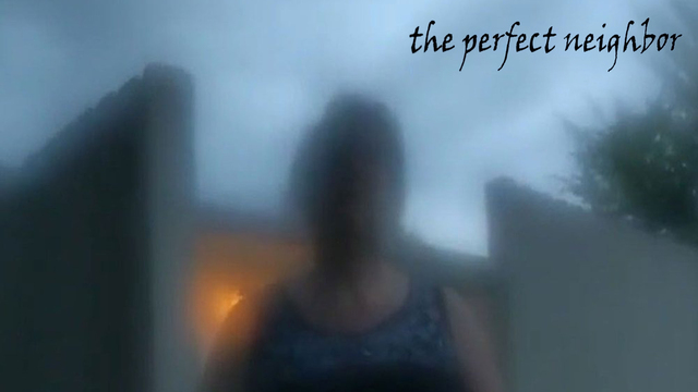 The Perfect Neighbor key art