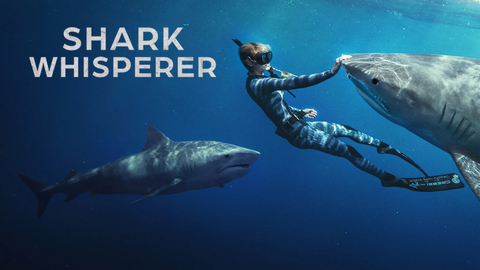 Shark Whisperer