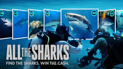 All the Sharks