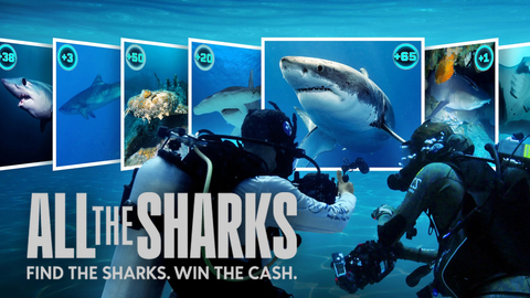 All the Sharks