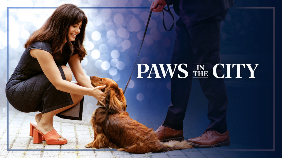 Paws in the City Poster