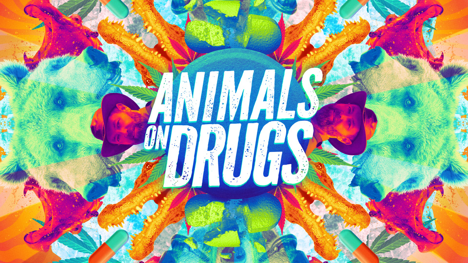 Animals on Drugs - Discovery Channel