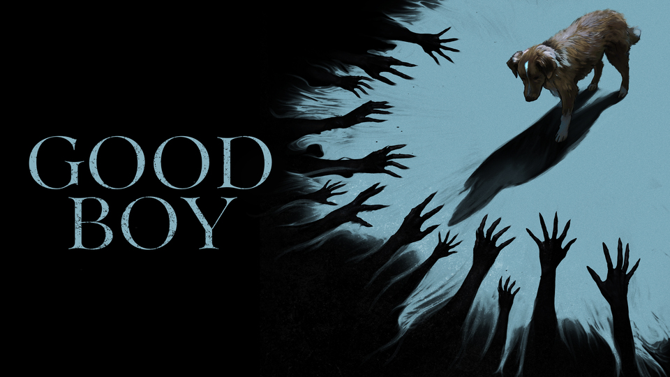 Good Boy - 