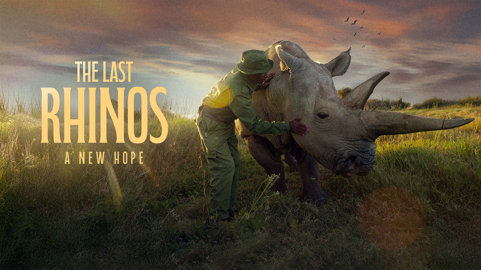 The Last Rhinos: A New Hope - Nat Geo