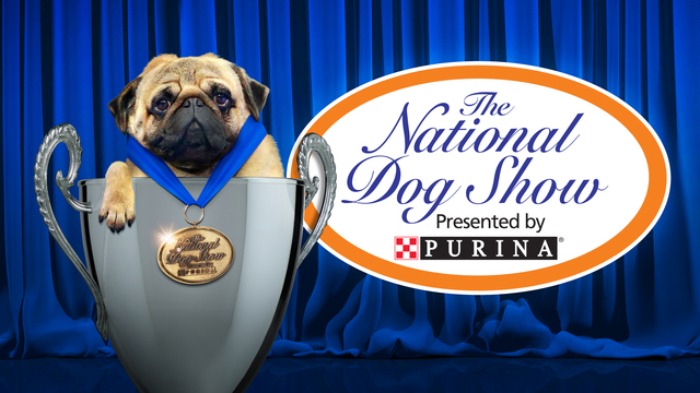 The National Dog Show key art