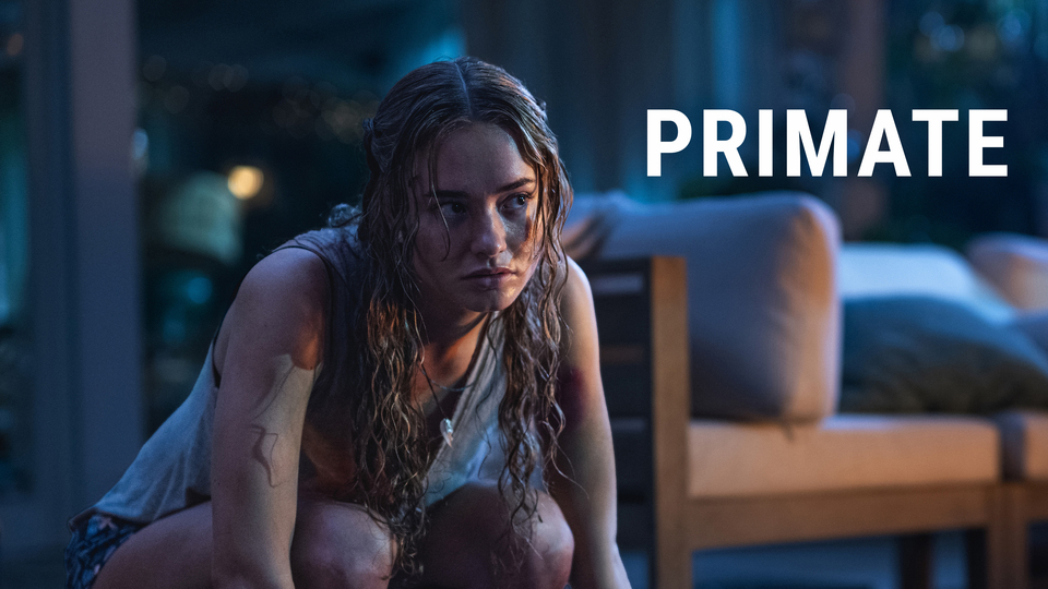 Primate - 