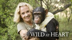 Wild at Heart (2008) - Acorn TV